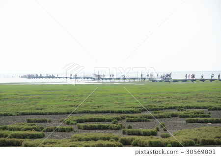 Gaomei Wetland 30569001