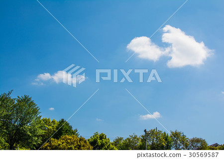 Fine weather 30569587