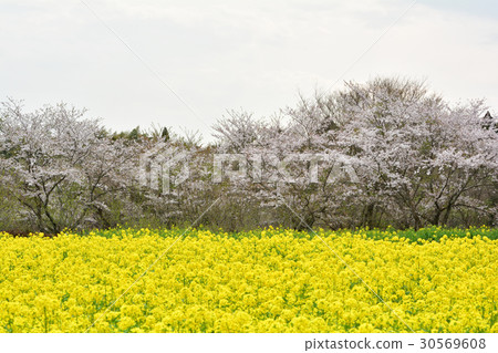 Narita Yume Ranch Narita Yume Ranch 30569608