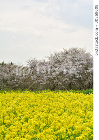 Narita Yume Ranch Narita Yume Ranch 30569609