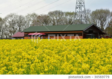 Narita Yume Ranch Narita Yume Ranch 30569779