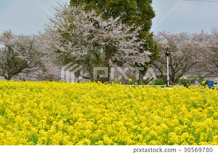 Narita Yume Ranch Narita Yume Ranch 30569780