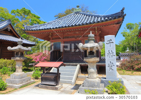 Yashimaji寺 30570103