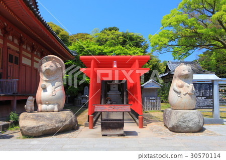 屋島寺의 太三郎狸 蓑山 다이묘 스톡사진