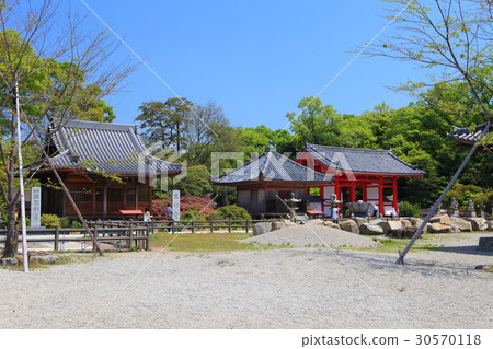 Yashimaji寺 30570118