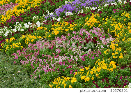 Narita Yume Ranch Narita Yume Ranch 30570201