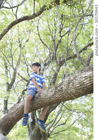 爬樹的男孩 爬樹的男孩 30570643