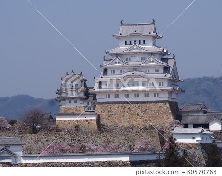 Shirasagijo 30570763