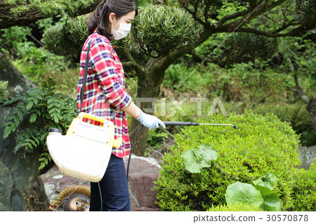 A woman taking a flower shell A woman taking a flower shell 30570878