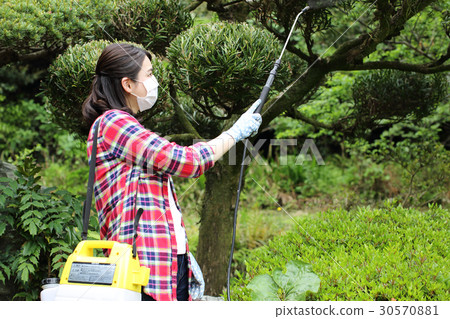 Woman spraying pesticides 30570881