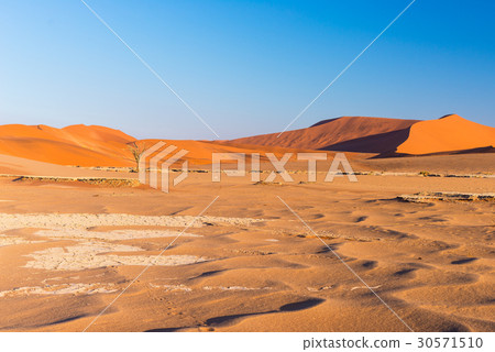 The scenic Sossusvlei and Deadvlei, Namibia The scenic Sossusvlei and Deadvlei, Namibia 30571510