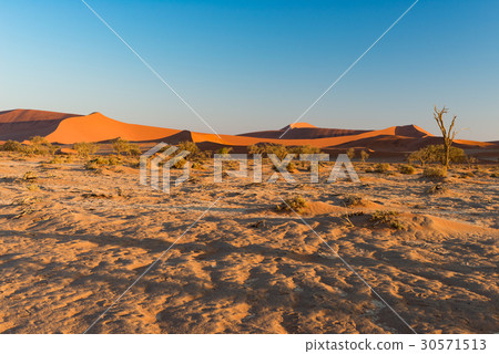 The scenic Sossusvlei and Deadvlei, Namibia 30571513