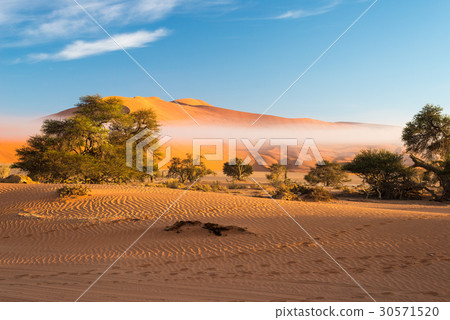 The scenic Sossusvlei and Deadvlei, Namibia The scenic Sossusvlei and Deadvlei, Namibia 30571520