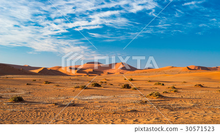 The scenic Sossusvlei and Deadvlei, Namibia 30571523