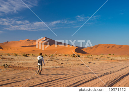 Tourist walking to Sossusvlei, Namib desert 30571552