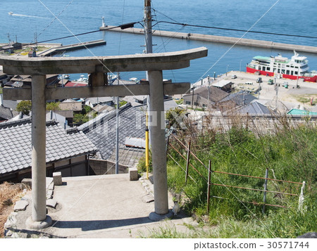 豐臣姬神社和島貓 30571744