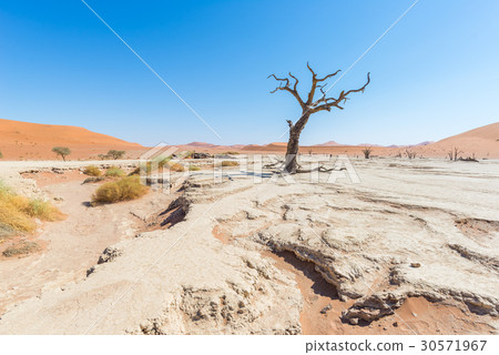 The scenic Sossusvlei and Deadvlei The scenic Sossusvlei and Deadvlei 30571967