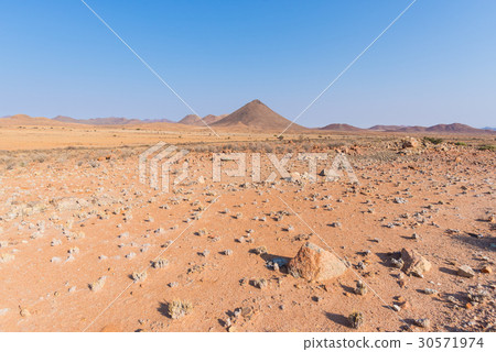 The colorful Namib desert 30571974