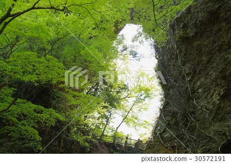 Kagawa prefecture Shodojima cho Karasuke gates stone gate (the 8th scenery, the 3rd view) Kagawa prefecture Shodojima cho Karasuke gates stone gate (the 8th scenery, the 3rd view) 30572191