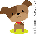Little Brown Pup 30572976