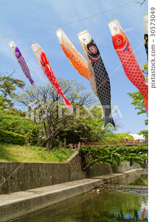 Hyogo ken Nishinomiya Kogorobori在Shikugawa公園游泳 30573049