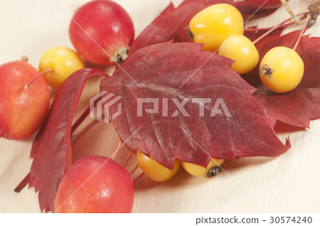 Chinese and paradise apples 30574240