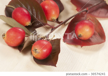 Crab (Paradise) apples Crab (Paradise) apples 30574241
