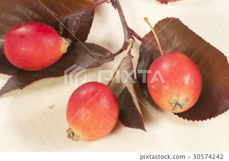 Crab (Paradise) apples Crab (Paradise) apples 30574242