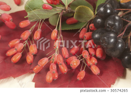 Barbery and black chokeberry Barbery and black chokeberry 30574265