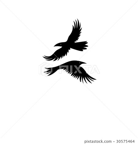 Vector icons of black silhouettes of a crow Vector icons of black silhouettes of a crow 30575464