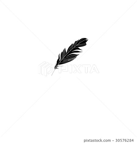 Graphic feather sign 30576284