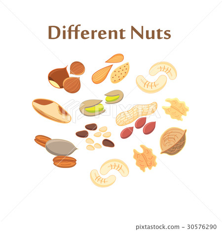 Set of different nuts Set of different nuts 30576290