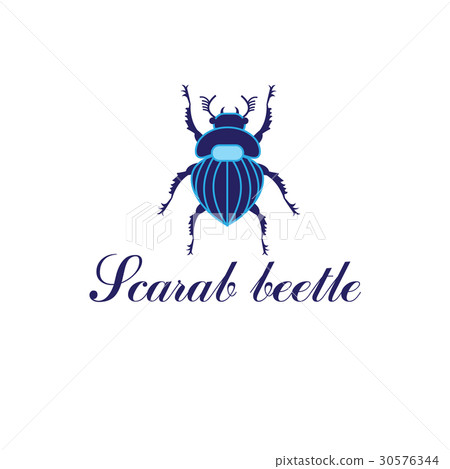 Vector Scarab beetle 30576344