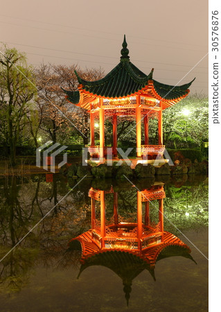 櫻花在武漢森林和夜視圖 櫻花在武漢森林和夜視圖 30576876