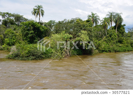 Argentina Iguazu Falls 30577821