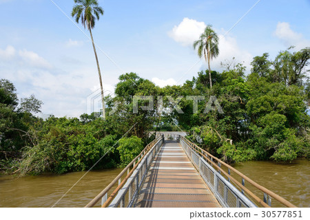 阿根廷伊瓜蘇瀑布 阿根廷伊瓜蘇瀑布 30577851