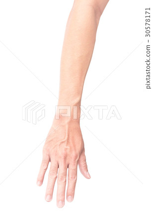Man arm with blood veins on white background 30578171