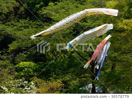 以鯉魚旗飄飄的風格游泳 以鯉魚旗飄飄的風格游泳 30578779
