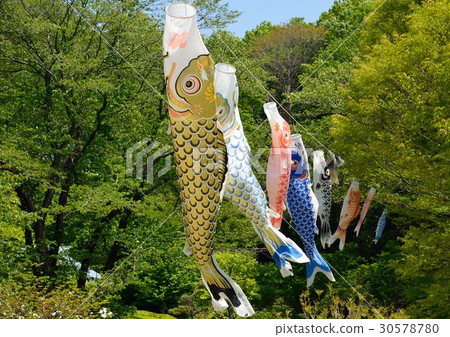 Swim in a carp streamer style Swim in a carp streamer style 30578780