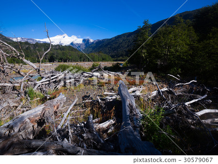 Valley of river Cauquenes and mountain Tronador 30579067