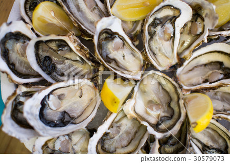 oysters on plate top view 30579073