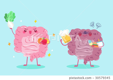 intestine with health concept 30579345