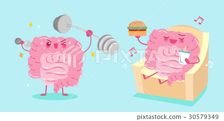 intestine with health concept 30579349