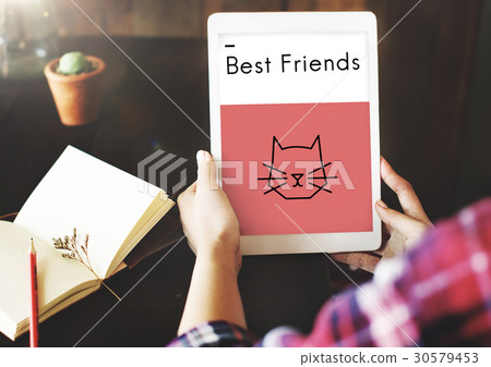 Adopt Animals Best Friends Cat Icon 30579453