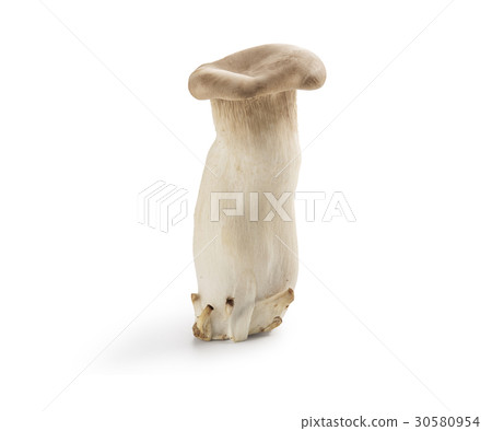 Ellingi (shadow ink, background whiteout) Ellingi (shadow ink, background whiteout) 30580954