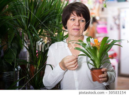 Customer choosing bromelia 30583154