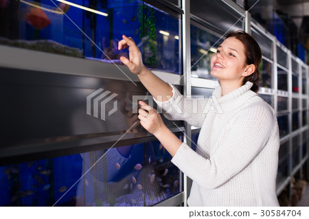 Girl is pointing to interesting breeds of small fishes Girl is pointing to interesting breeds of small fishes 30584704