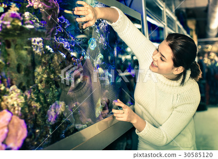 Girl in aquarium shop with interest looking at colorful fishes 30585120