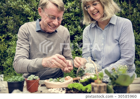 Botanical Environment Green Pottery Nature Botanical Environment Green Pottery Nature 30585960