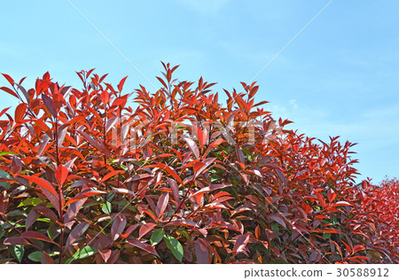 Kaname備忘錄(必填) Kaname備忘錄(必填) 30588912